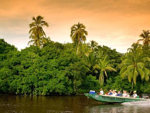 Tortuguero