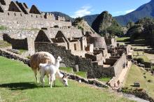 Machu Pichu